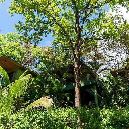 Arbol Verde Villas Ojochal Eksteriør bilde