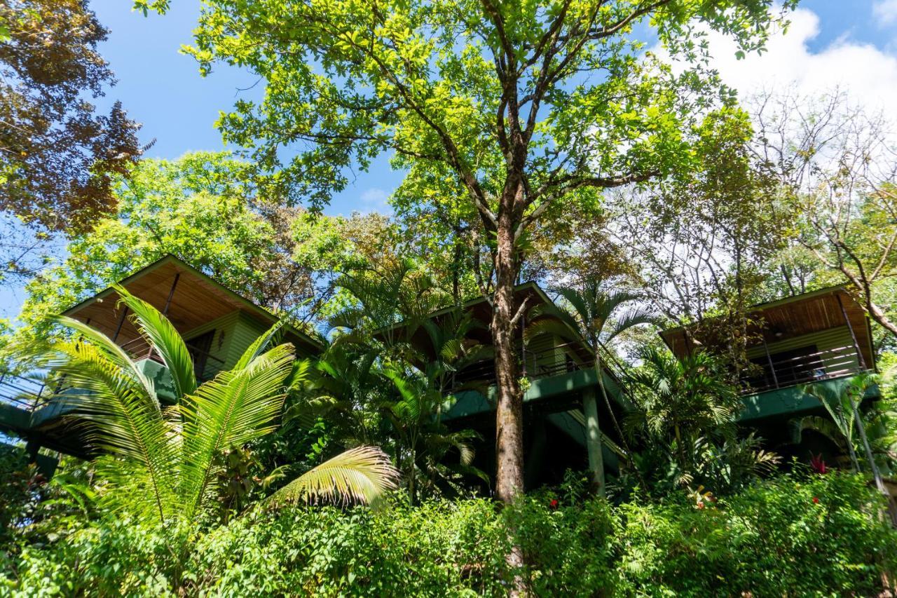 Arbol Verde Villas Ojochal Eksteriør bilde